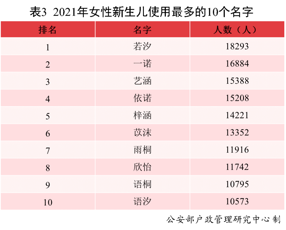 2025年男孩子名字大全，小杰的友情冒險(xiǎn)之旅