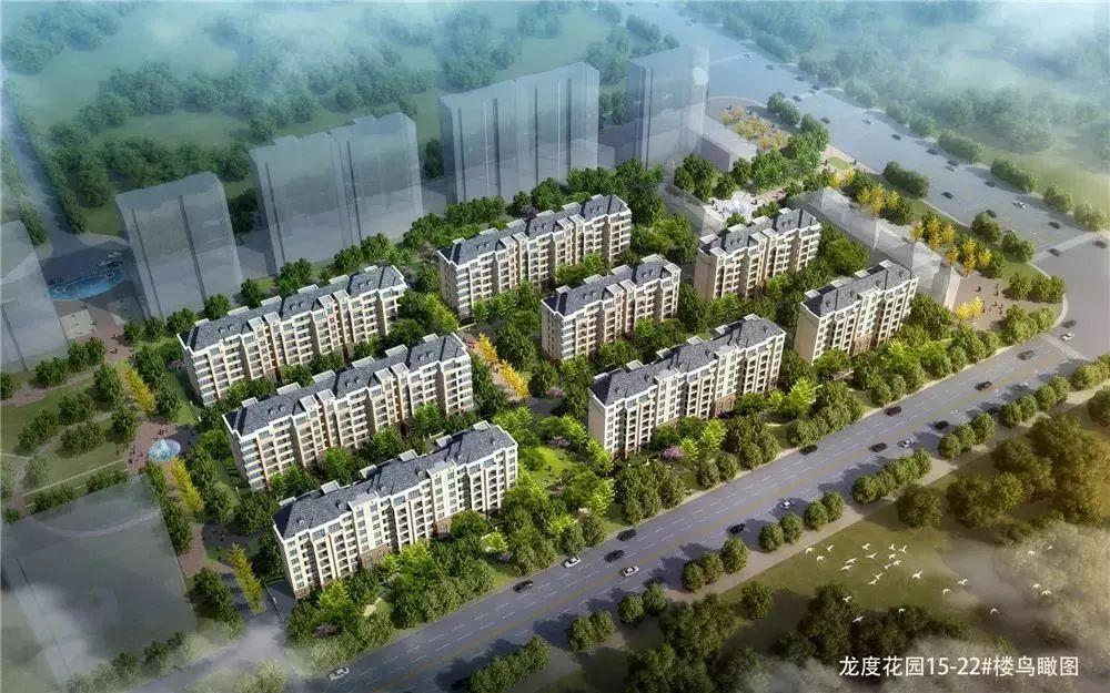 瑞基瀾鳳華府最新動(dòng)態(tài)，變化中的學(xué)習(xí)力量，成就自信之源