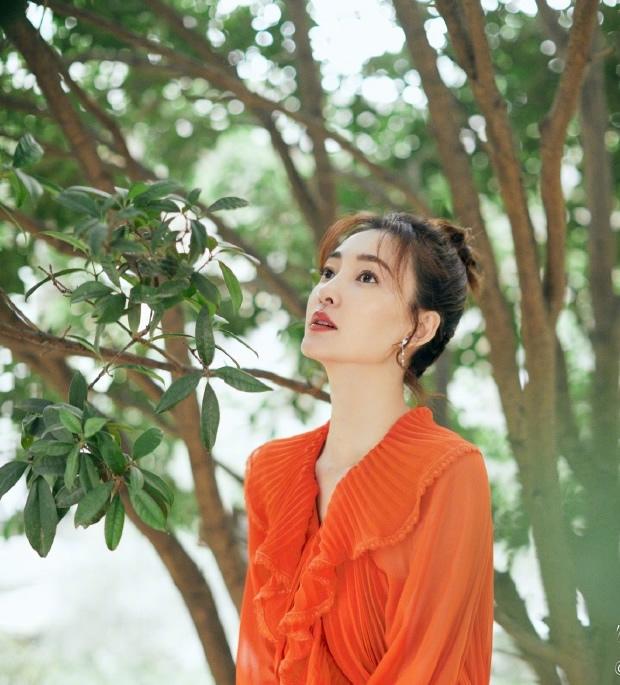 王麗坤最新電視劇，巷弄深處的星光與獨(dú)特小店之旅