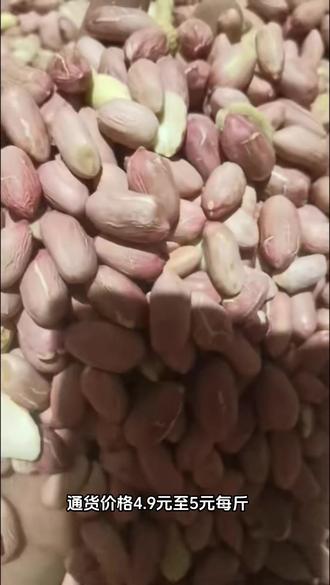 帶殼花生最新批發(fā)價(jià)格，變化中學(xué)習(xí)，成就自信與夢(mèng)想之路