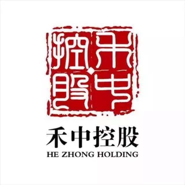 禾中控股集團(tuán)最新消息概覽，權(quán)威指南發(fā)布