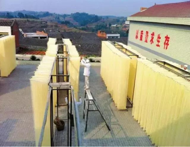 成宜高速公路最新動態(tài)，建設(shè)進展、特色亮點及未來展望