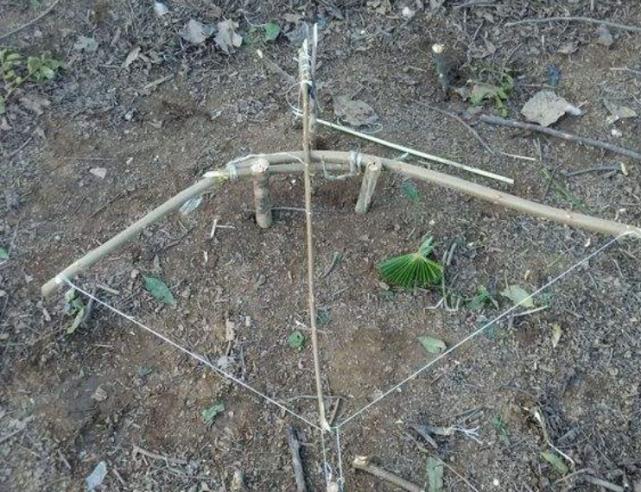 叢林大作戰(zhàn)最新版本攻略，任務(wù)完成與技能學(xué)習(xí)指南（初學(xué)者的進(jìn)階之路）