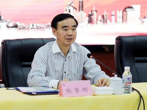 揭秘張常明最新消息，小巷中的隱藏瑰寶