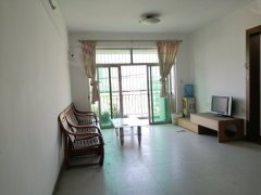 順德北滘最新二手房市場深度解析，全面觀點(diǎn)分析