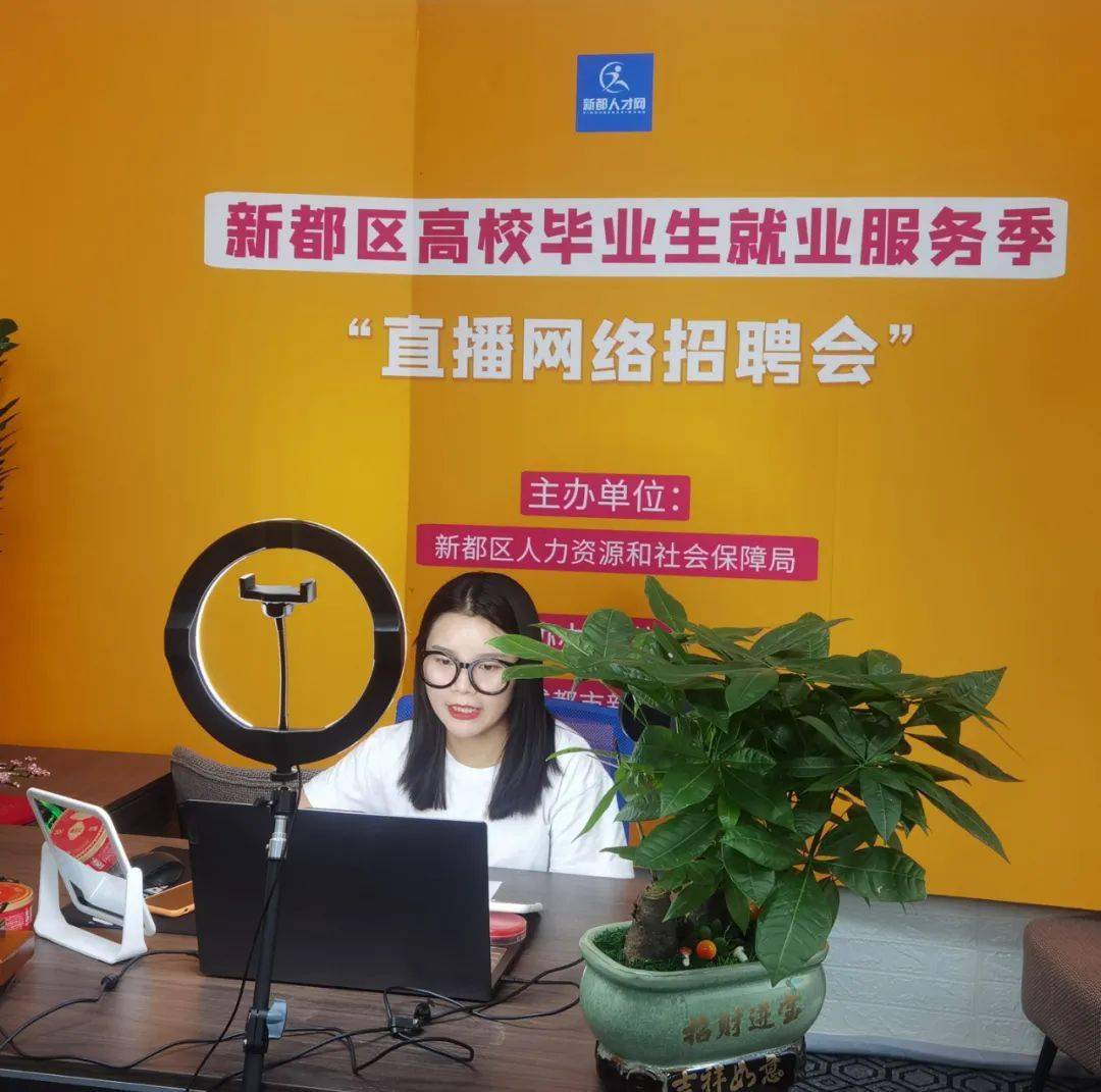 新都區(qū)招聘網(wǎng)最新招聘信息及詳細步驟指南