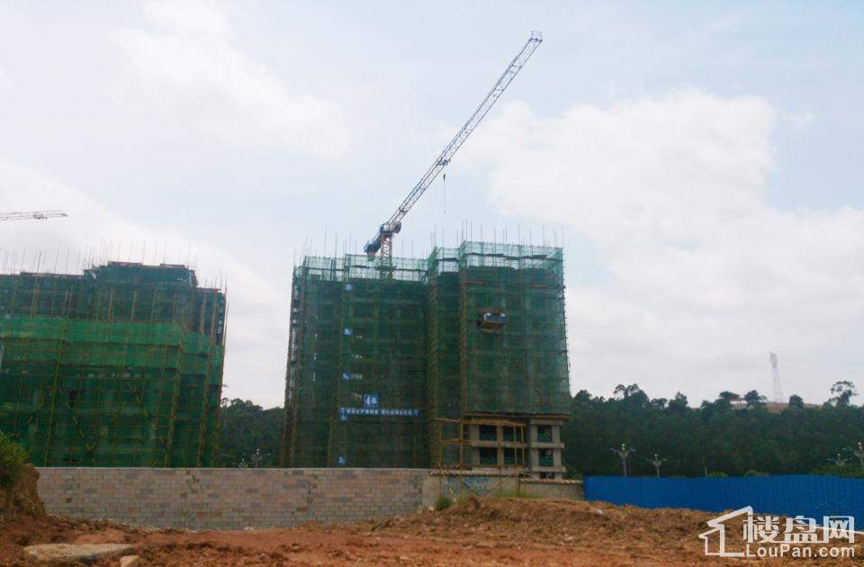 漢軍五象一號科技引領(lǐng)未來，最新動態(tài)揭秘生活重塑之力