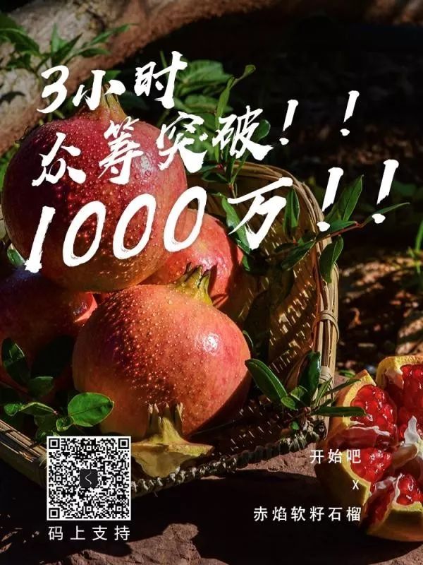 三楂紅眾籌最新動態(tài)與消息速遞????