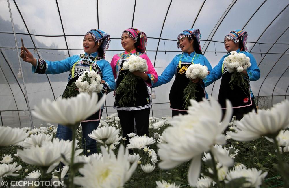 黔西縣鐘山鎮(zhèn)最新動(dòng)態(tài)，溫馨日常的點(diǎn)滴記錄