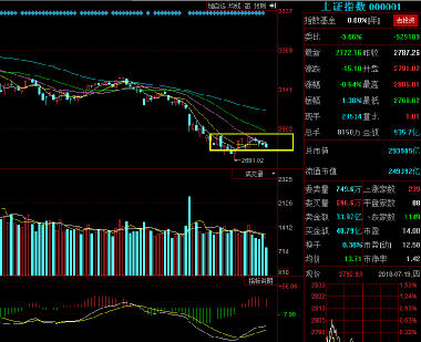 三維絲股票最新動(dòng)態(tài)更新，最新消息與走勢分析