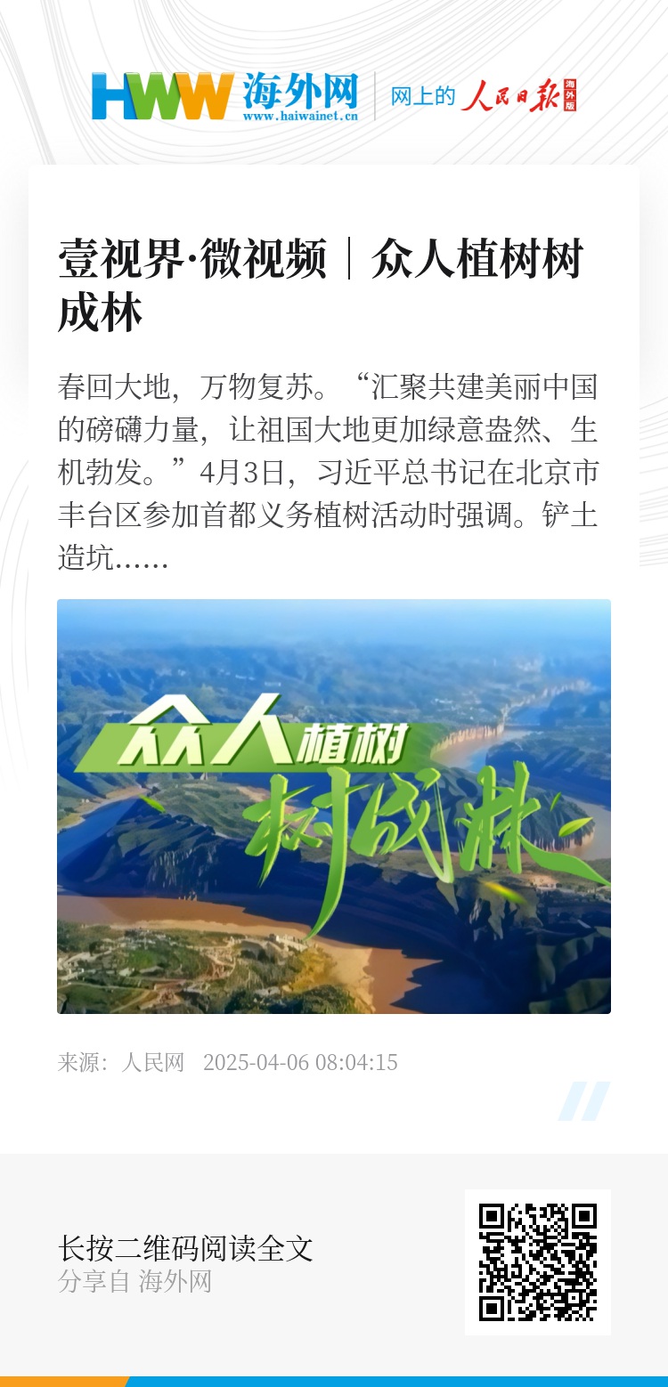 長青樹眾籌最新動態(tài)，小巷驚喜與特色小店的獨特魅力探索