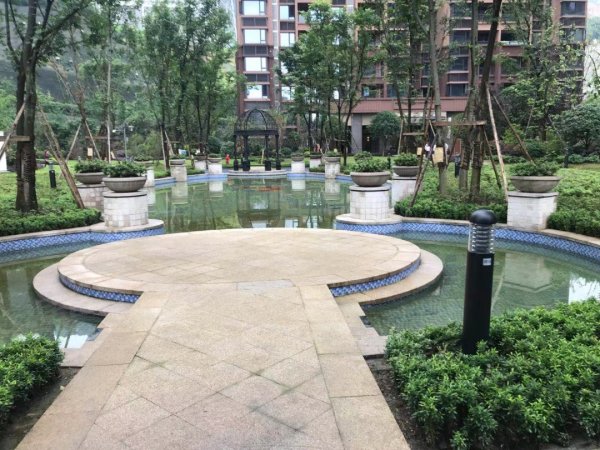 重慶和黃御峰最新動態(tài)更新