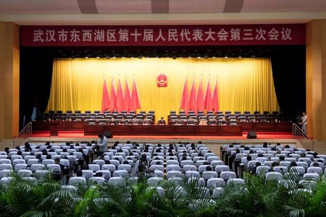 東西湖區(qū)最新任免，人事變動的觀點闡述與解析