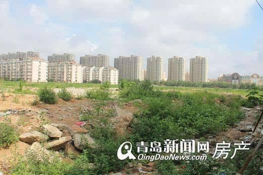 李滄楊哥莊最新動態(tài)，科技引領生活，智能新品體驗未來