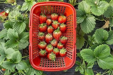 水悅龍庭證件最新進展，自然美景探索之旅啟幕