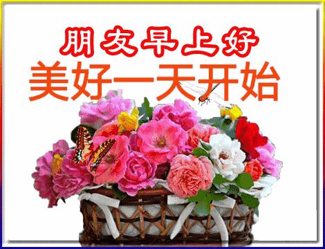 五福碰胡最新版下載，變化、學習與自信的力量之源