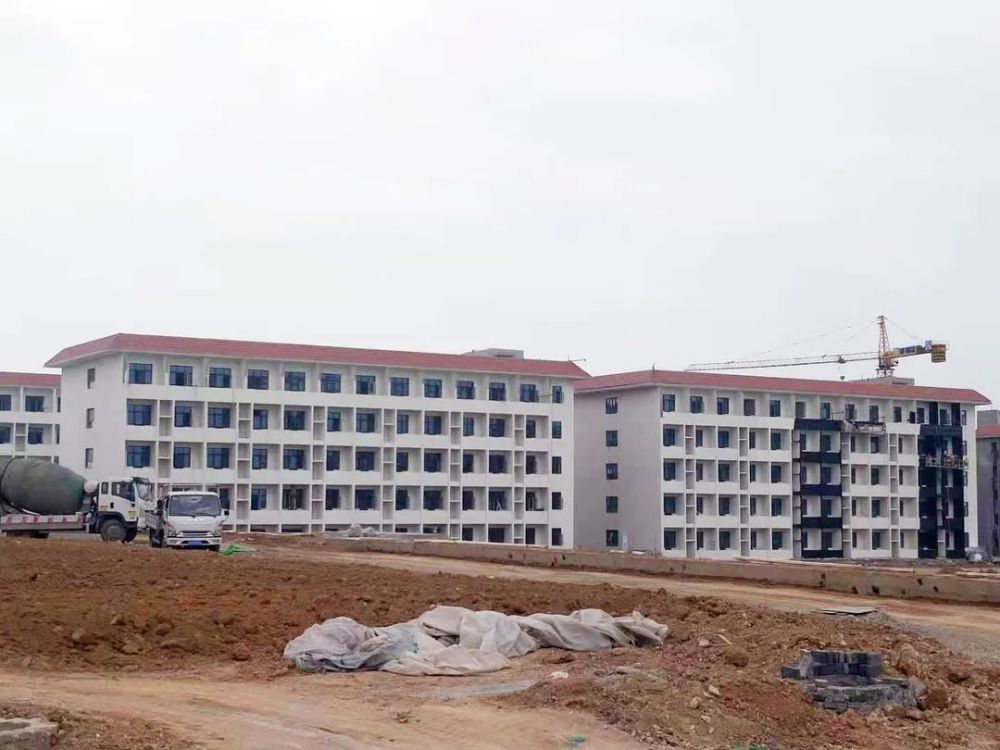 湖北祥興紙業(yè)最新進展及小巷特色小店探秘