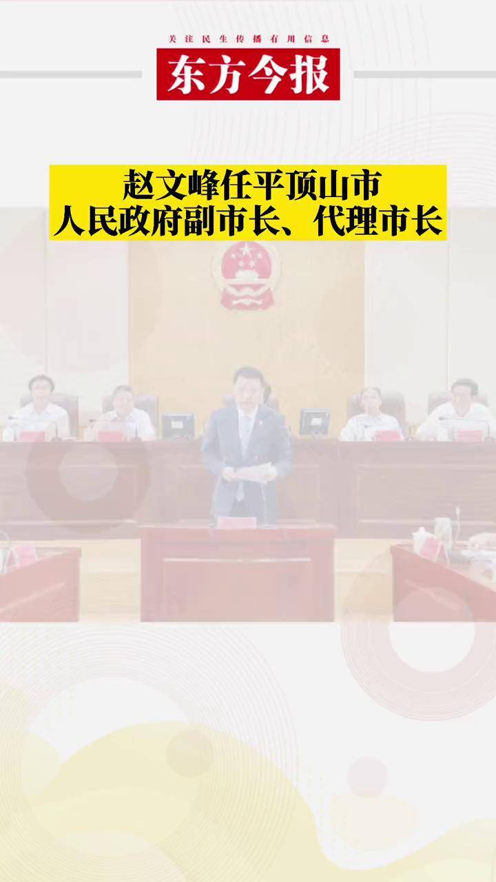 平頂山市人大最新任免及其背后的故事概述