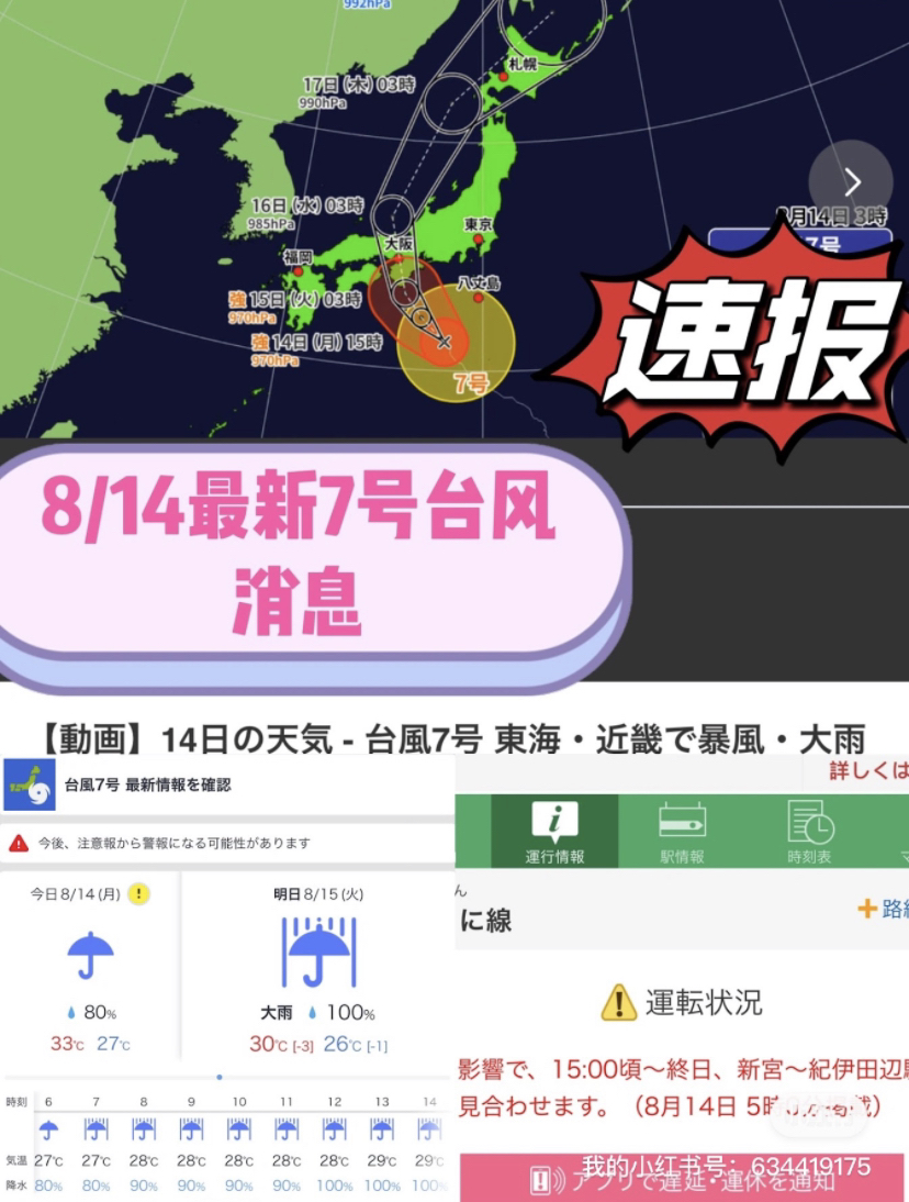 臺(tái)風(fēng)來(lái)襲，知識(shí)海洋并肩作戰(zhàn)，最新關(guān)于臺(tái)風(fēng)12號(hào)的消息報(bào)告