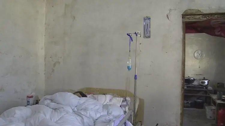 成武縣汶上鎮(zhèn)探秘，巷弄深處的獨(dú)特小店最新消息揭秘