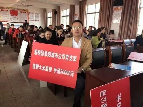 太和縣二郎鎮(zhèn)最新規(guī)劃揭秘，展望嶄新未來(lái)