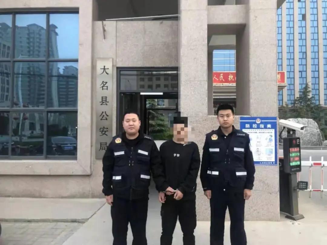 大名出租房屋最新動(dòng)態(tài)，全面指南與最新消息