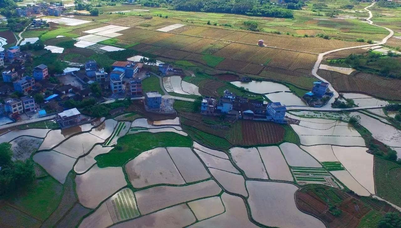 廣西汽牛最新型微耕機(jī)操作指南及特點介紹