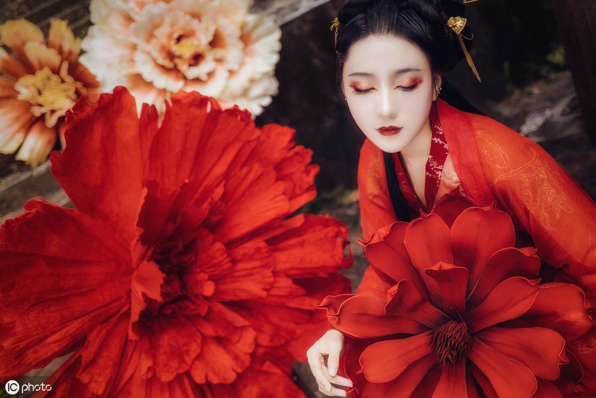 三亞海棠月色最新動態(tài)更新，最新消息匯總