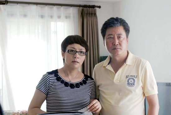 趙寶剛最新電視劇深度解析與探討，新劇探討與探討