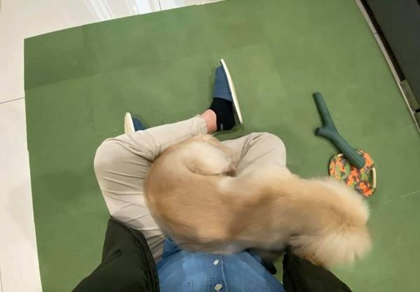 探索萌文化的魅力之旅，最新章節(jié)閱讀大全