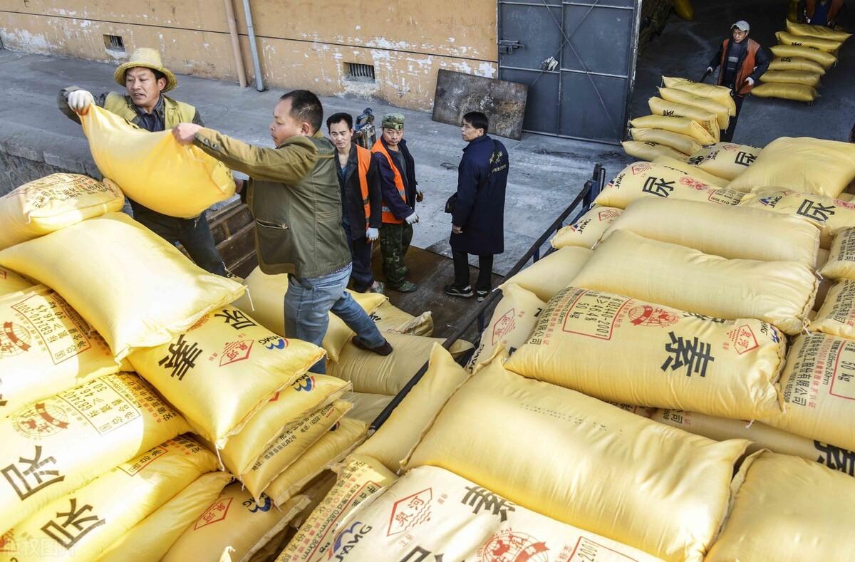 全國尿素最新價(jià)格，科技重塑生活下的新面貌