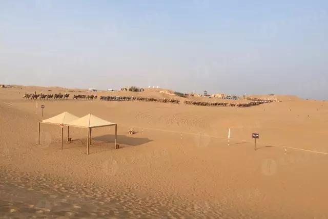 寧夏自駕游攻略大揭秘，最新攻略分享