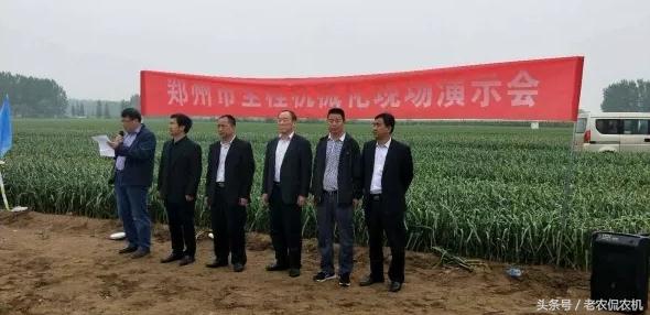 中牟大蒜最新價格揭秘，小巷深處的蒜香寶藏