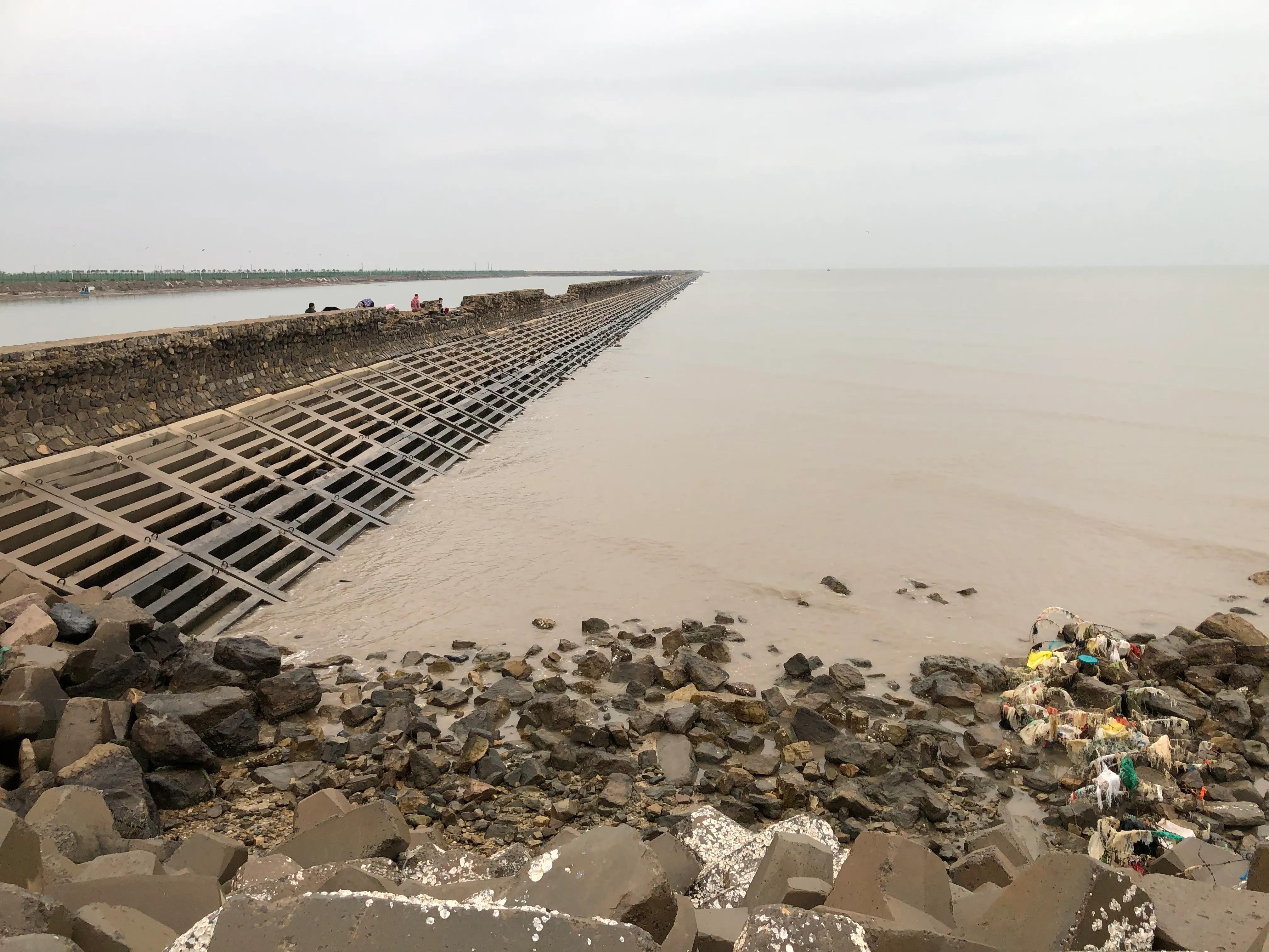 黃驊港最新招聘動(dòng)態(tài)，日常招聘故事與友情紐帶