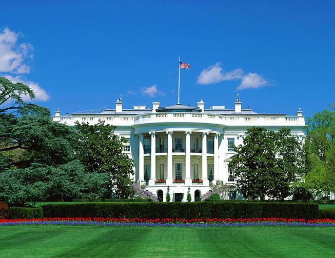 探索自然美景魅力的心靈之旅，最新紙品資訊與動態(tài)