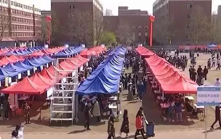 臨淄招聘最新動(dòng)態(tài)，友情紐帶與家的溫馨之旅