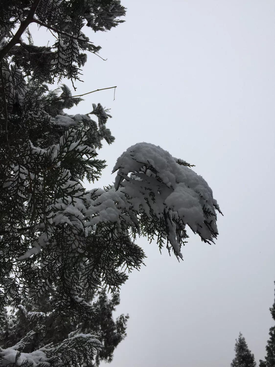 無錫馬山最新規(guī)劃揭秘，規(guī)劃下的生活日常探索