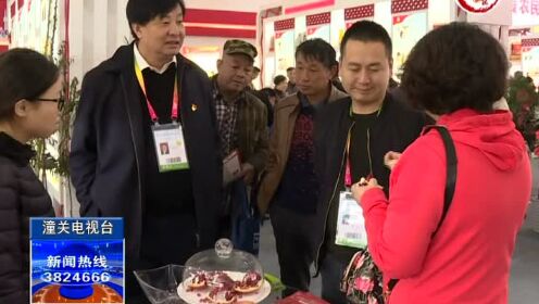 潼關最新新聞報道更新速遞