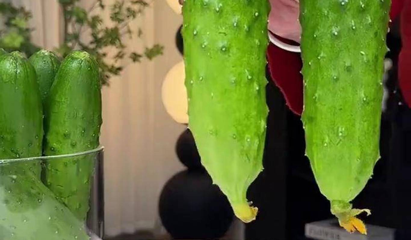 黃瓜視頻下載最新版，時(shí)代背景下短視頻巨頭的迅速崛起