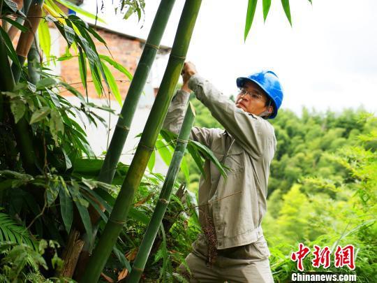 寧德臺風最新動態(tài)，科技智能守護安全前沿
