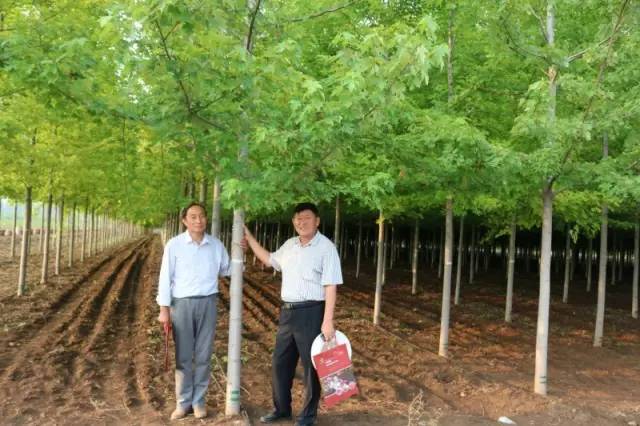 智能苗木管家，科技引領(lǐng)綠色新生活，最新苗木求購消息一網(wǎng)打盡