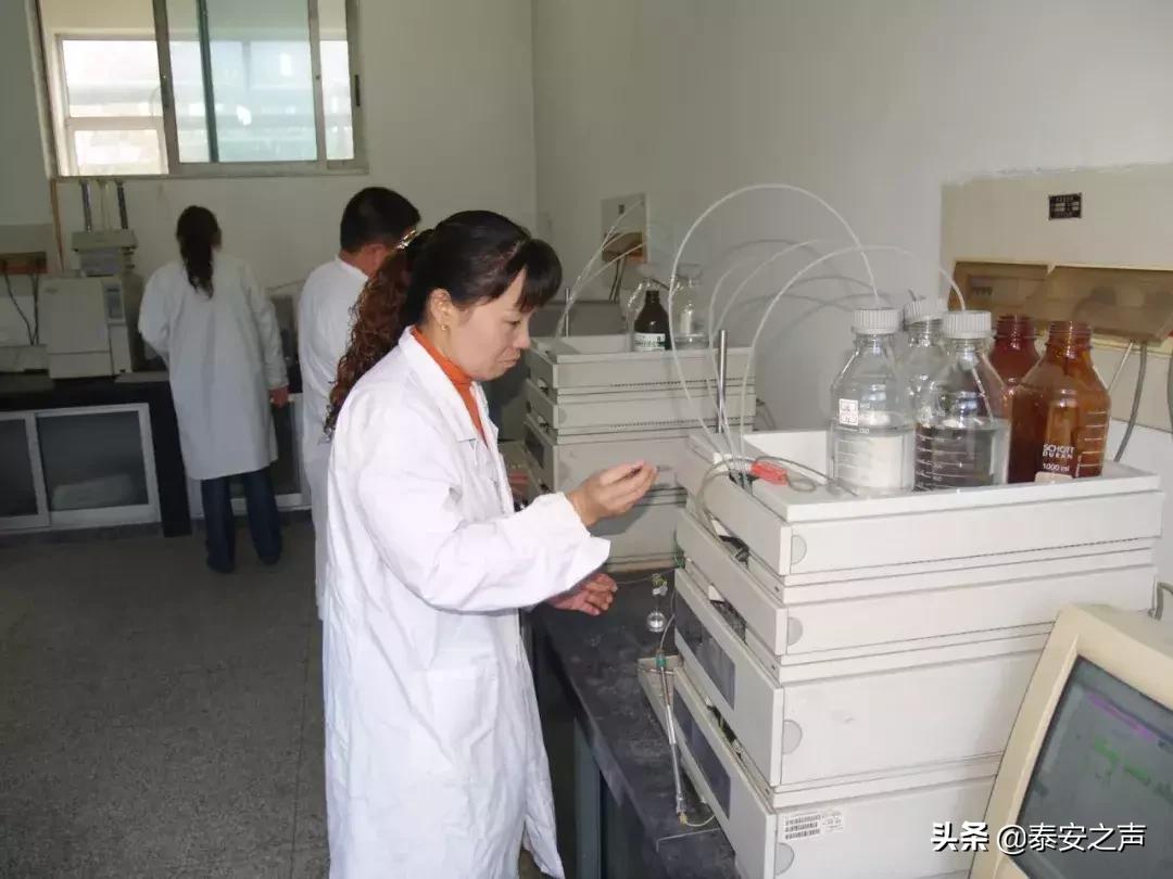 化工最新招聘，友情與夢(mèng)想的啟程之旅