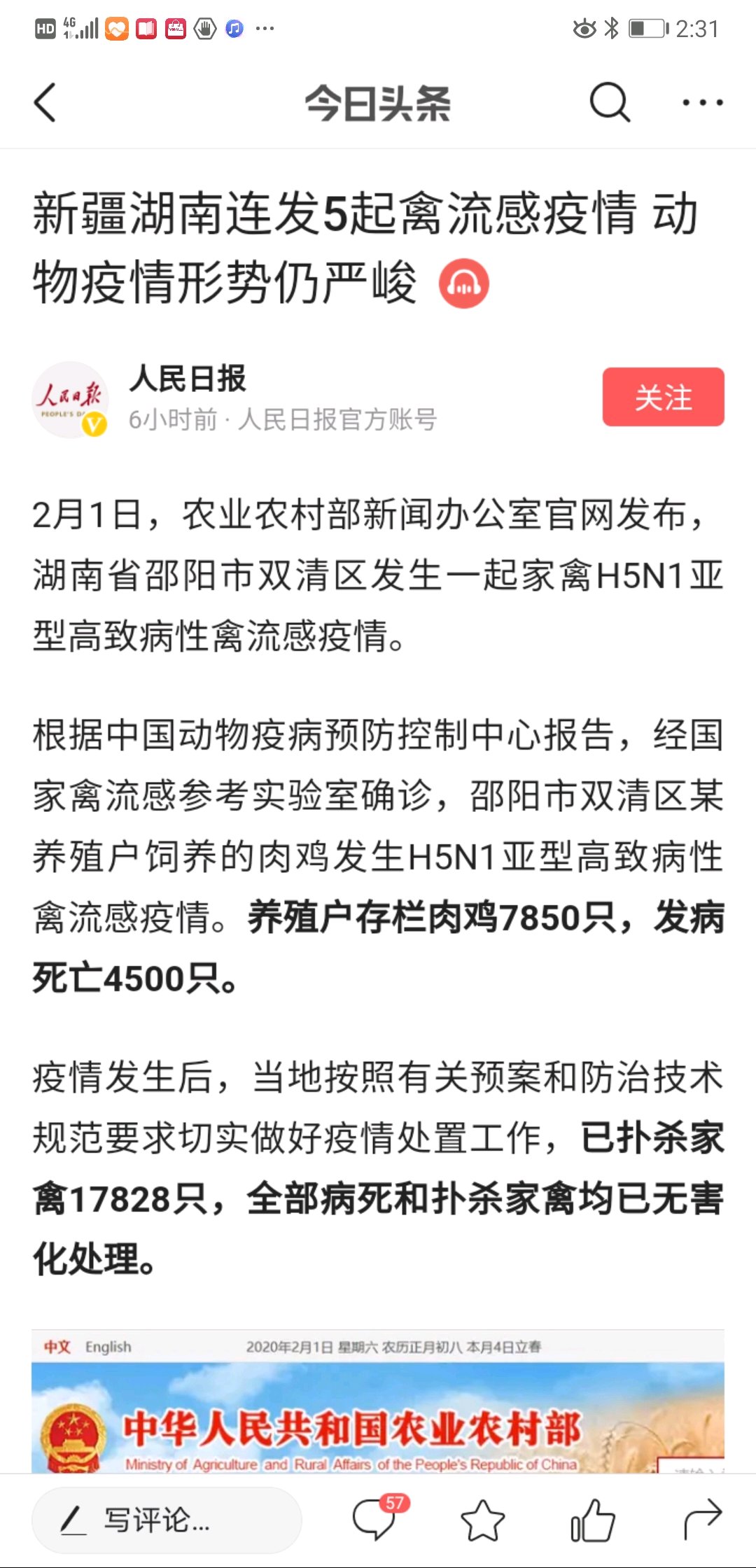 禽流感最新動態(tài)與全面應對步驟指南