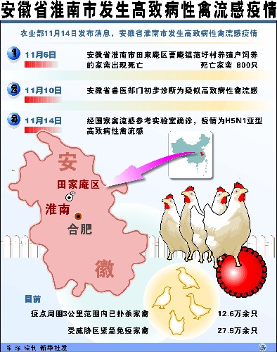 禽流感最新動態(tài)與全面應對步驟指南