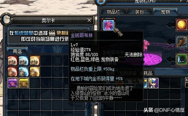 DNF最新寵物重磅上線，科技之巔，極致體驗寵物的誕生