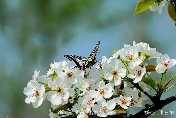 春暖最新——探尋萬物蘇醒之美的獨特魅力