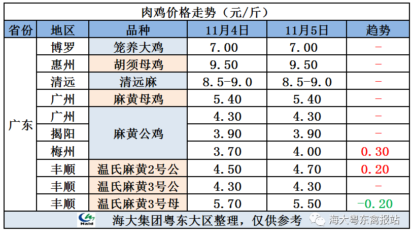 廣東雞價(jià)最新行情，心靈與自然的旅行交響曲