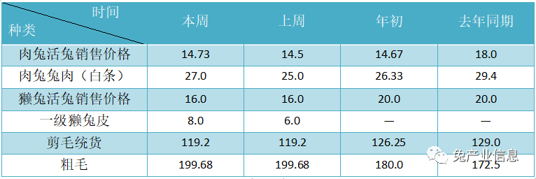 獺兔價格最新行情揭秘，溫情故事在兔子洞展開