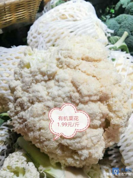 有機菜花價格最新行情，科技引領(lǐng)綠色生活新潮流趨勢