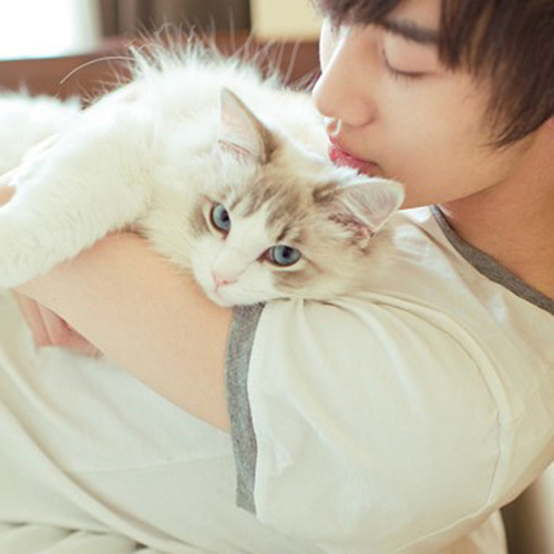 溫馨抱貓日常，最新流行情頭，感受人與貓的深情瞬間